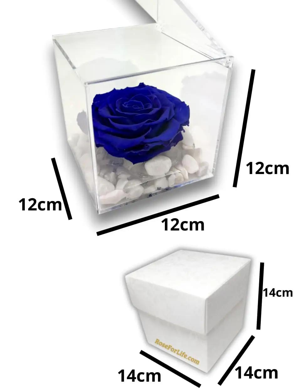 Premium-rose.com sinine konservitud roos – lõhnakink 12 cm – pakend ja tarvikud