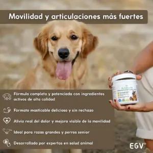 EGV Condroprotector toidulisandid ja vitamiinid – detailne lähivaade