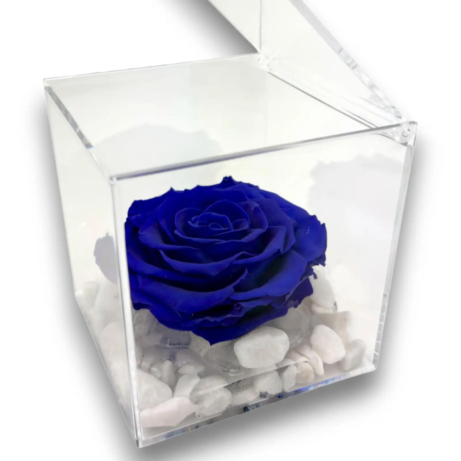 Premium-rose.com sinine konservitud roos – lõhnakink 12 cm