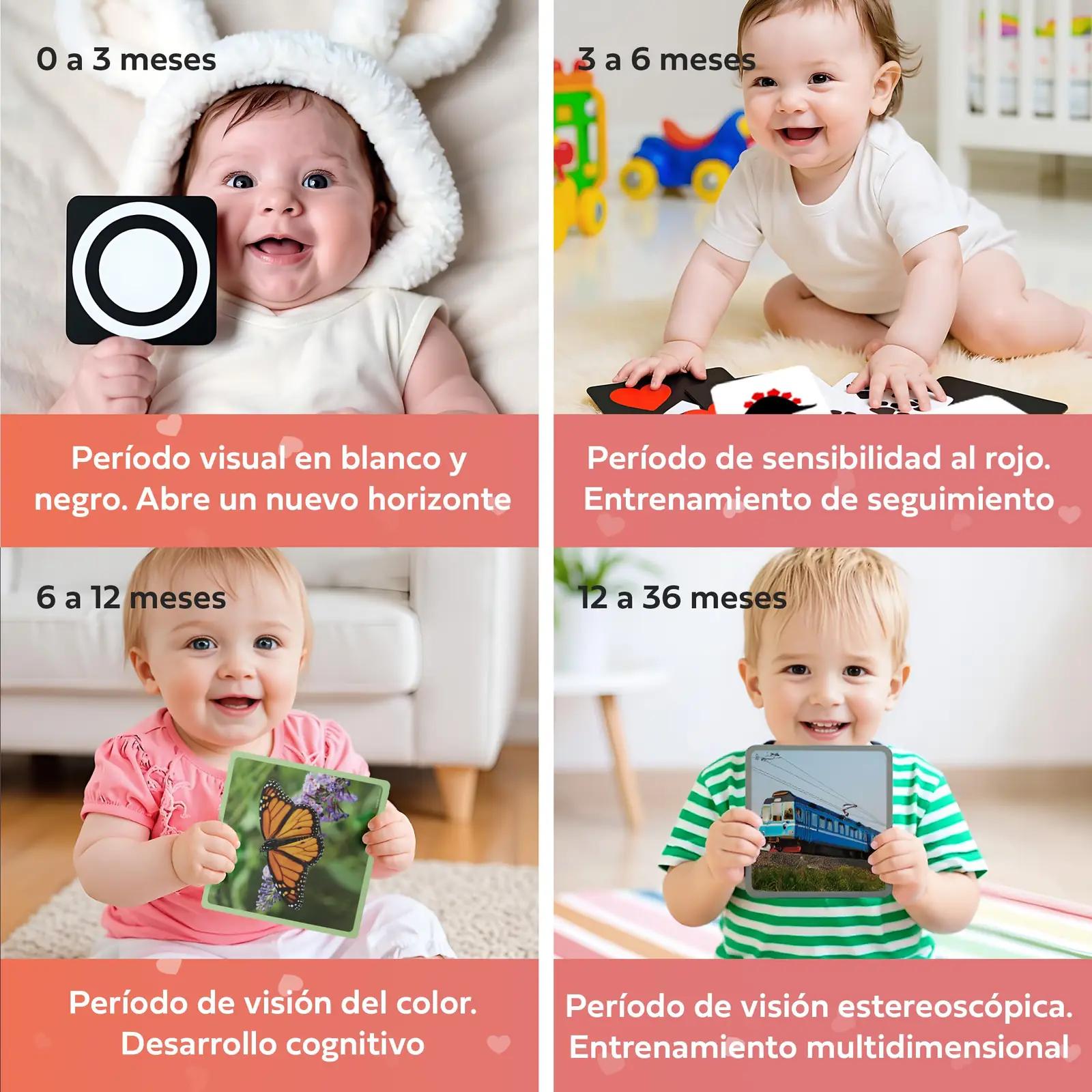 The Baby Sign Academy stimulatsioonikaardid 0–36 kuu arenguks – kasutusnäide