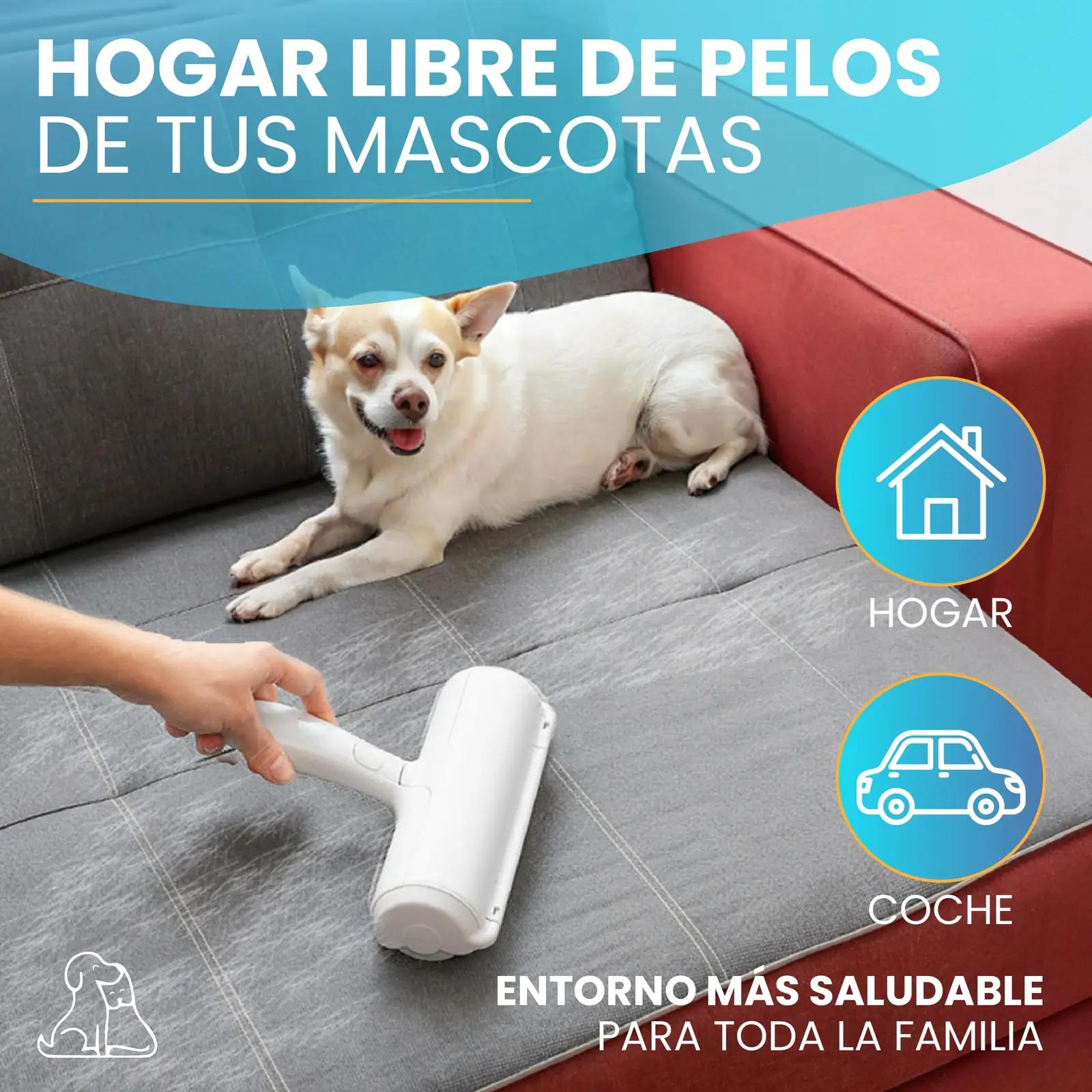 Paws & Claws The Home of Happy Tales Paws & Claws loomade – pilt 7