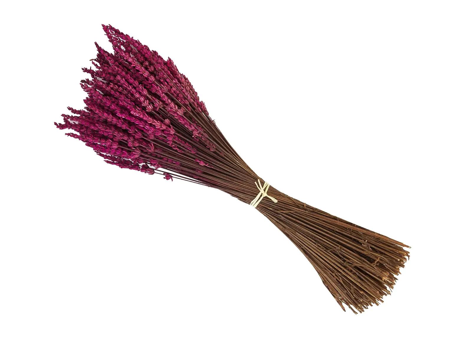 Lavanda Experience lilled – toote esivaade
