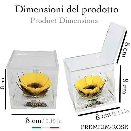 Passionefiori.it stabiliseeritud päevalill 8 cm – kasutusnäide