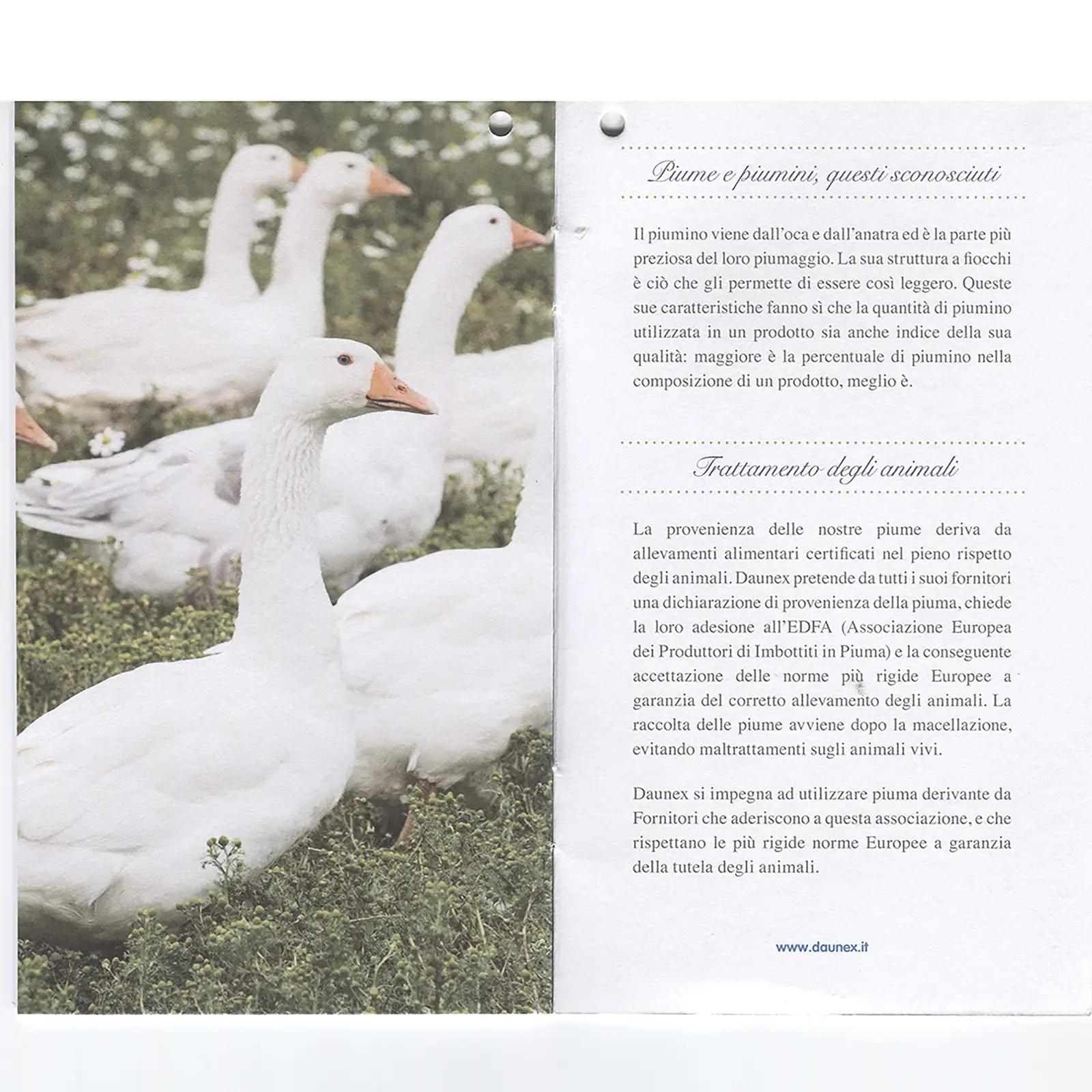 SofficePiuma suleline tekk – soe ja kerge kingiidee (155×200) – pilt 9