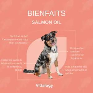 VITTALOGY V0015 toidulisandid ja vitamiinid – detailne lähivaade