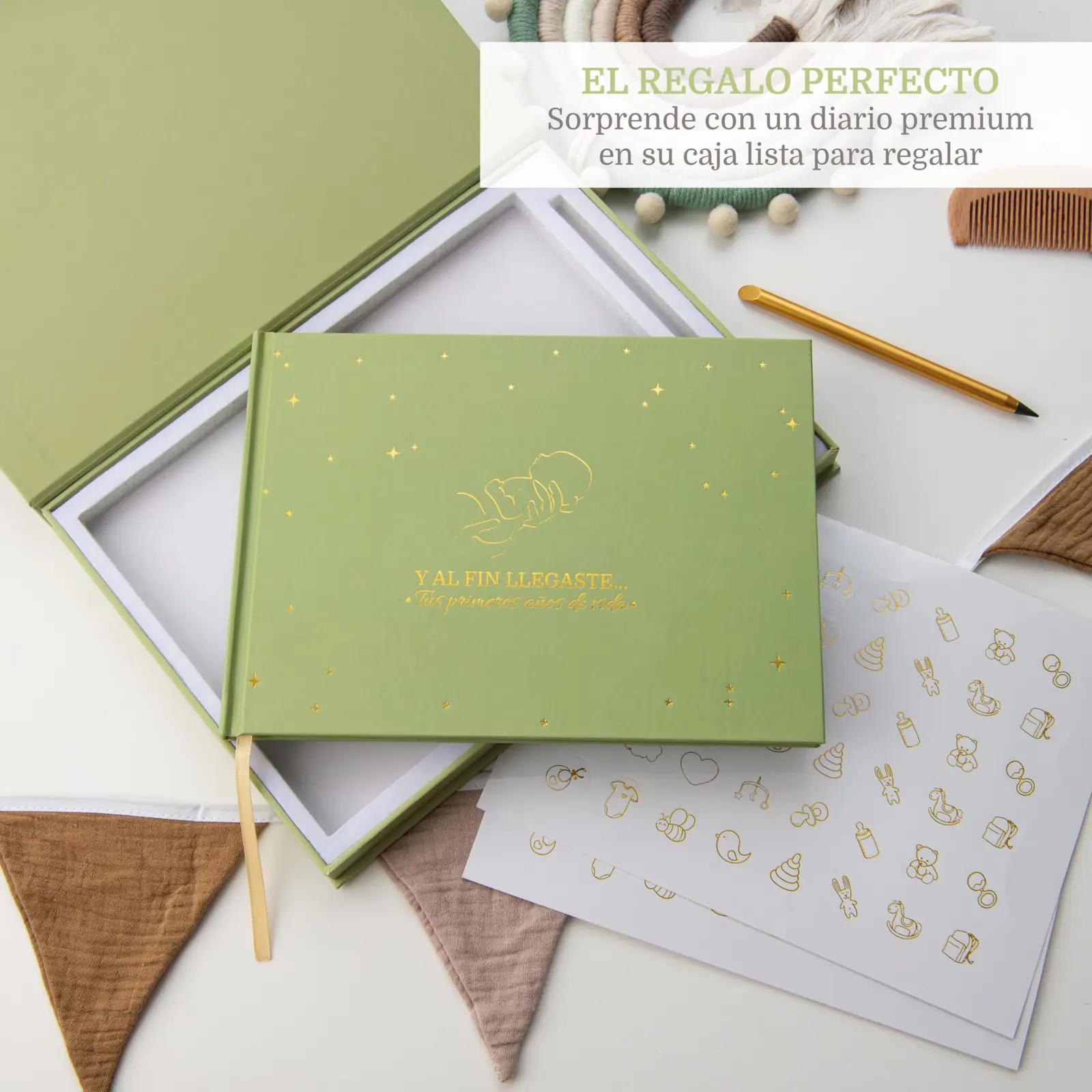 PROENMU DBE001 beebid – detailne lähivaade