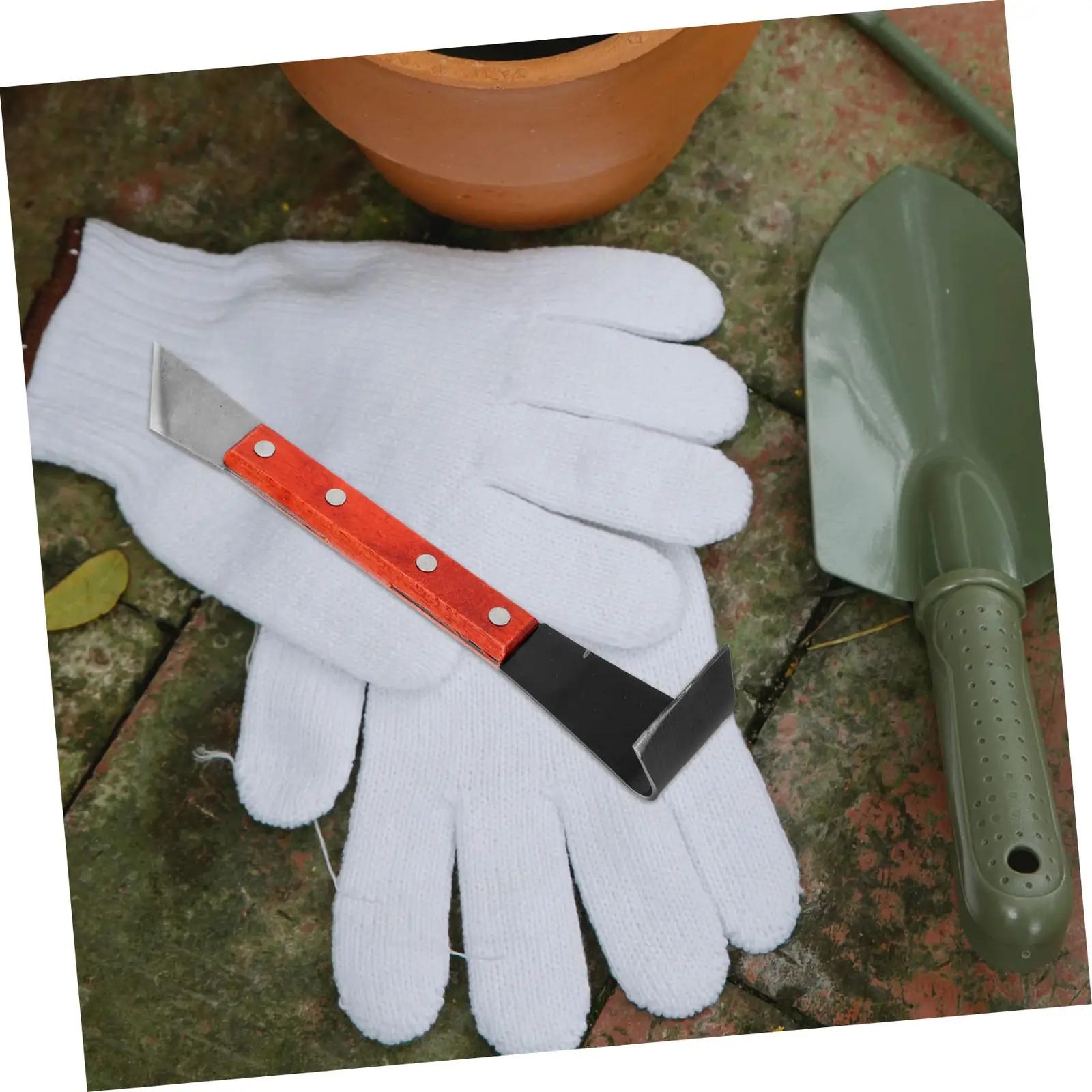 DOITOOL roostevaba koorimisnoa komplekt bonsaille — täpne – pilt 6