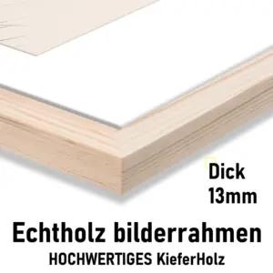 kollyseek kodu ja elamine – detailne lähivaade