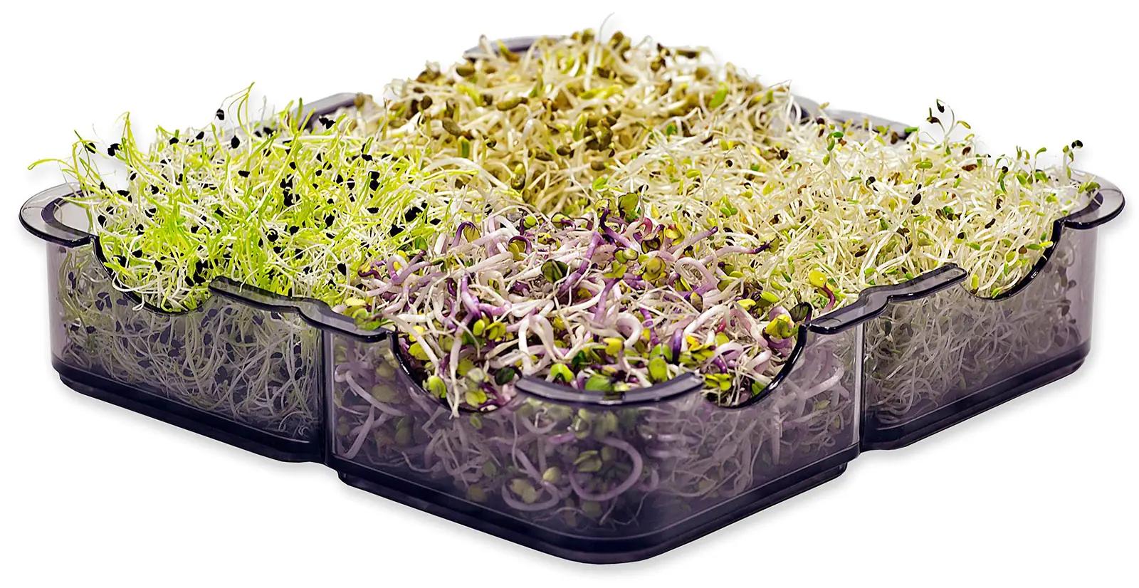 GermoglioSì professionaalne idufarm – korduvkasutatav plastik – lisavaade