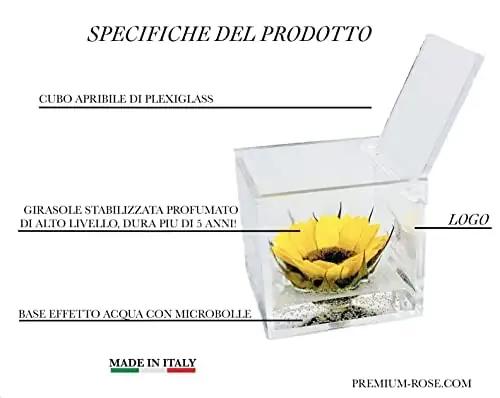 Passionefiori.it stabiliseeritud päevalill 8 cm – pakend ja tarvikud