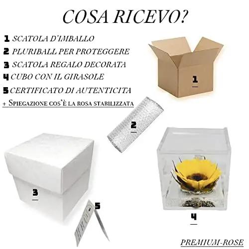 Passionefiori.it stabiliseeritud päevalill 8 cm – lisavaade