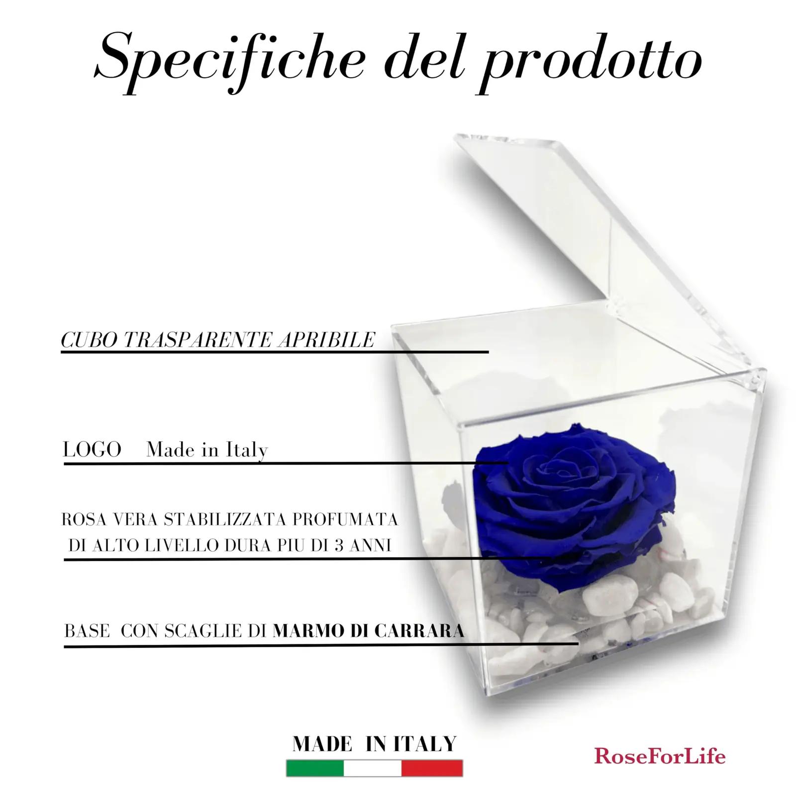 Premium-rose.com sinine konservitud roos – lõhnakink 12 cm – detailne vaade