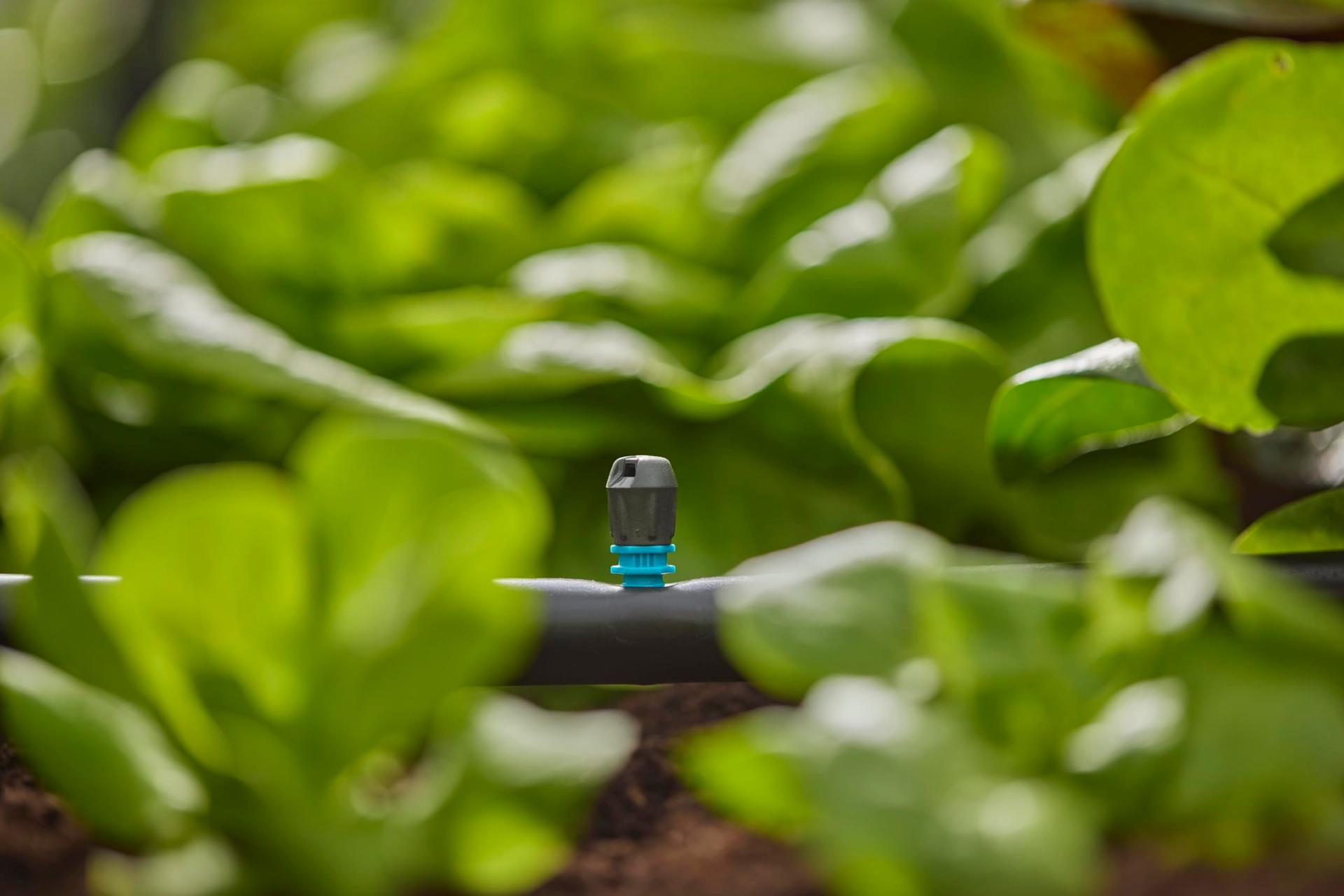 Gardena Micro-Drip otsapihusti kitsastele aladele kuni 0,6 × 2,75 m (13318-20) – pilt 6
