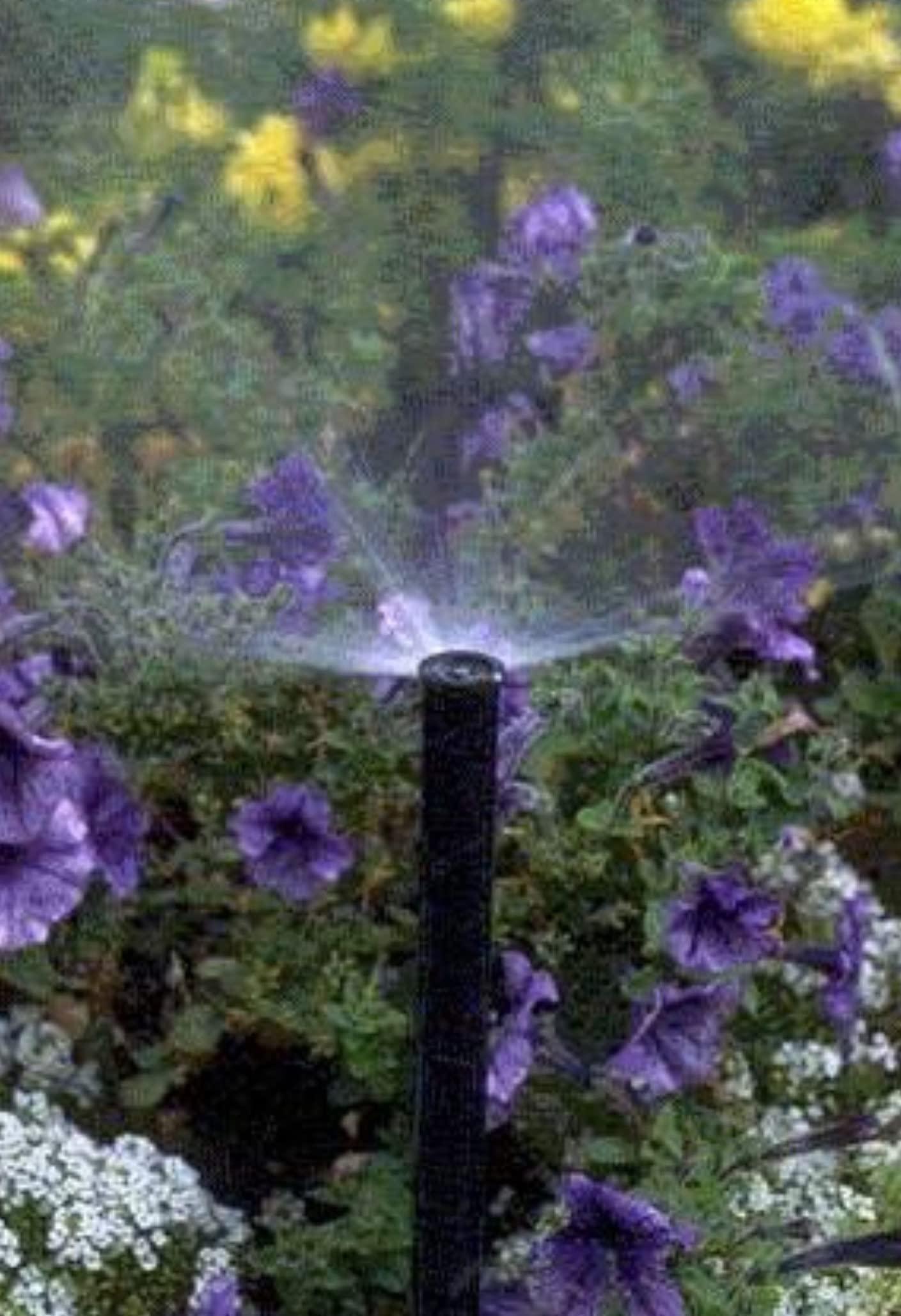 Rain Bird 1806APPRS süvistatav vihmuti, reguleeritav 0–360°, 15,2 cm tõusukõrgus – pilt 6