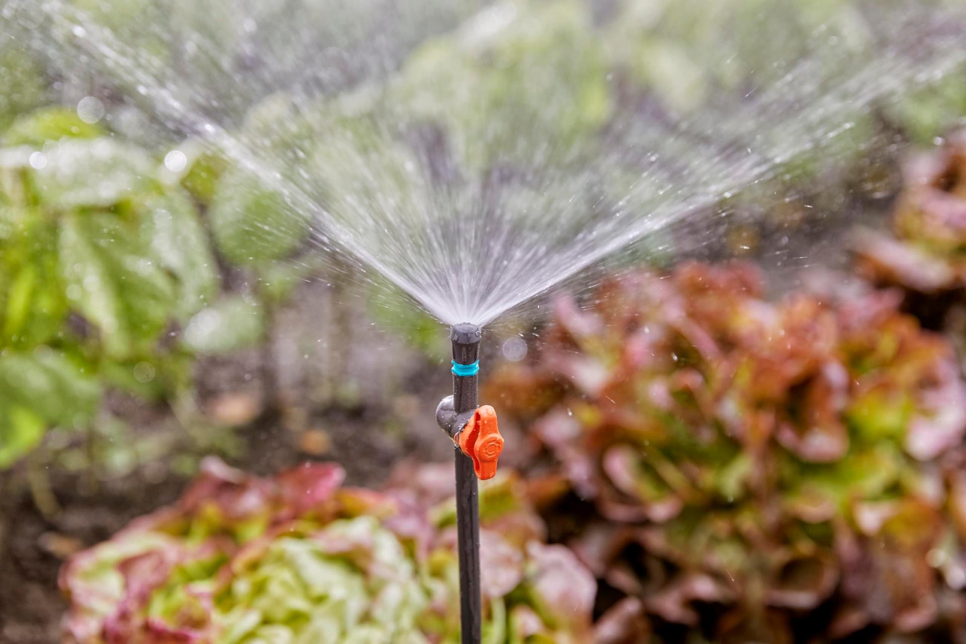Gardena Micro-Drip-System reguleerventiil pihustitele, 5 tk (13231-20) – kasutusnäide