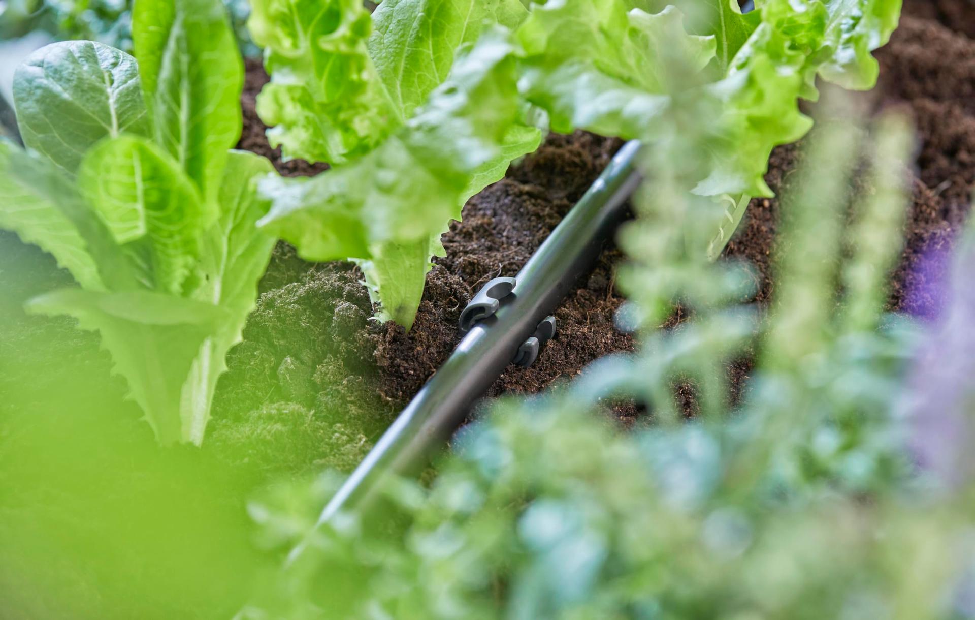 Gardena Micro-Drip torukinniti 13 mm torule, 10 tk (13208-20) – pakend ja tarvikud