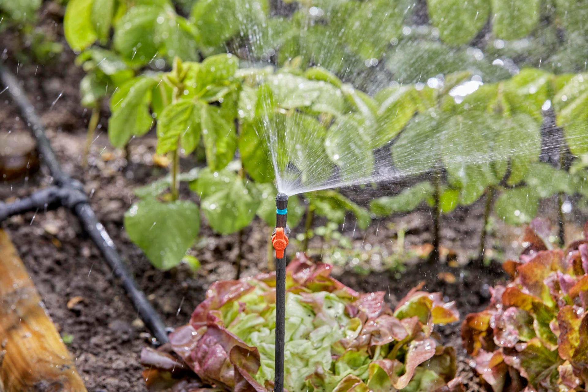 Gardena Micro-Drip pikendustoru pihustusdüüsidele 20 cm (13326-20) – lisavaade