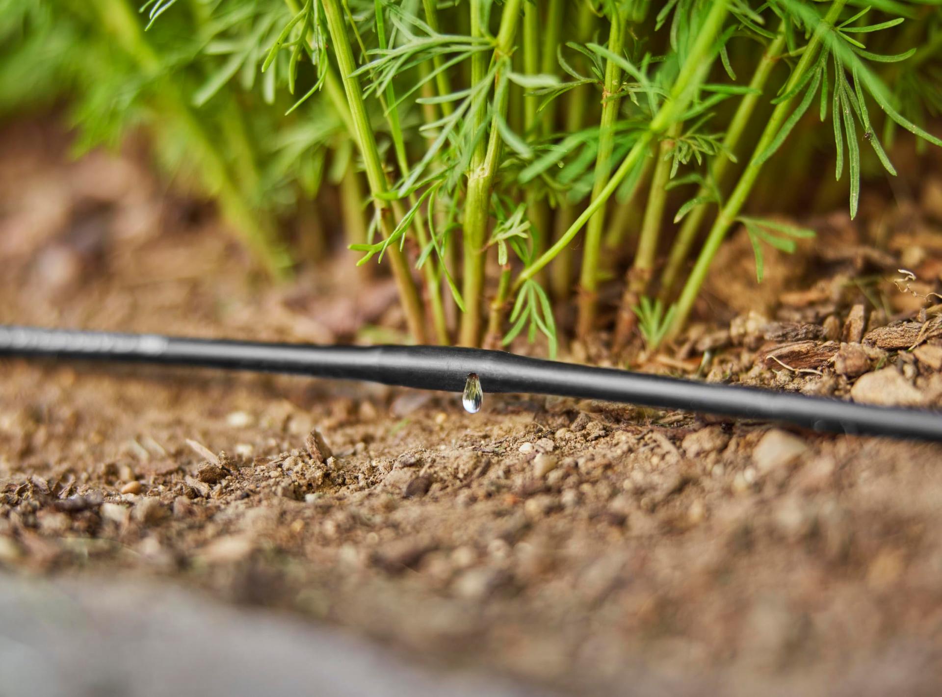 Gardena Micro-Drip-System tilkvoolik maapealseks paigalduseks 4,6 mm, 15 m (1362-20) – pakend ja tarvikud