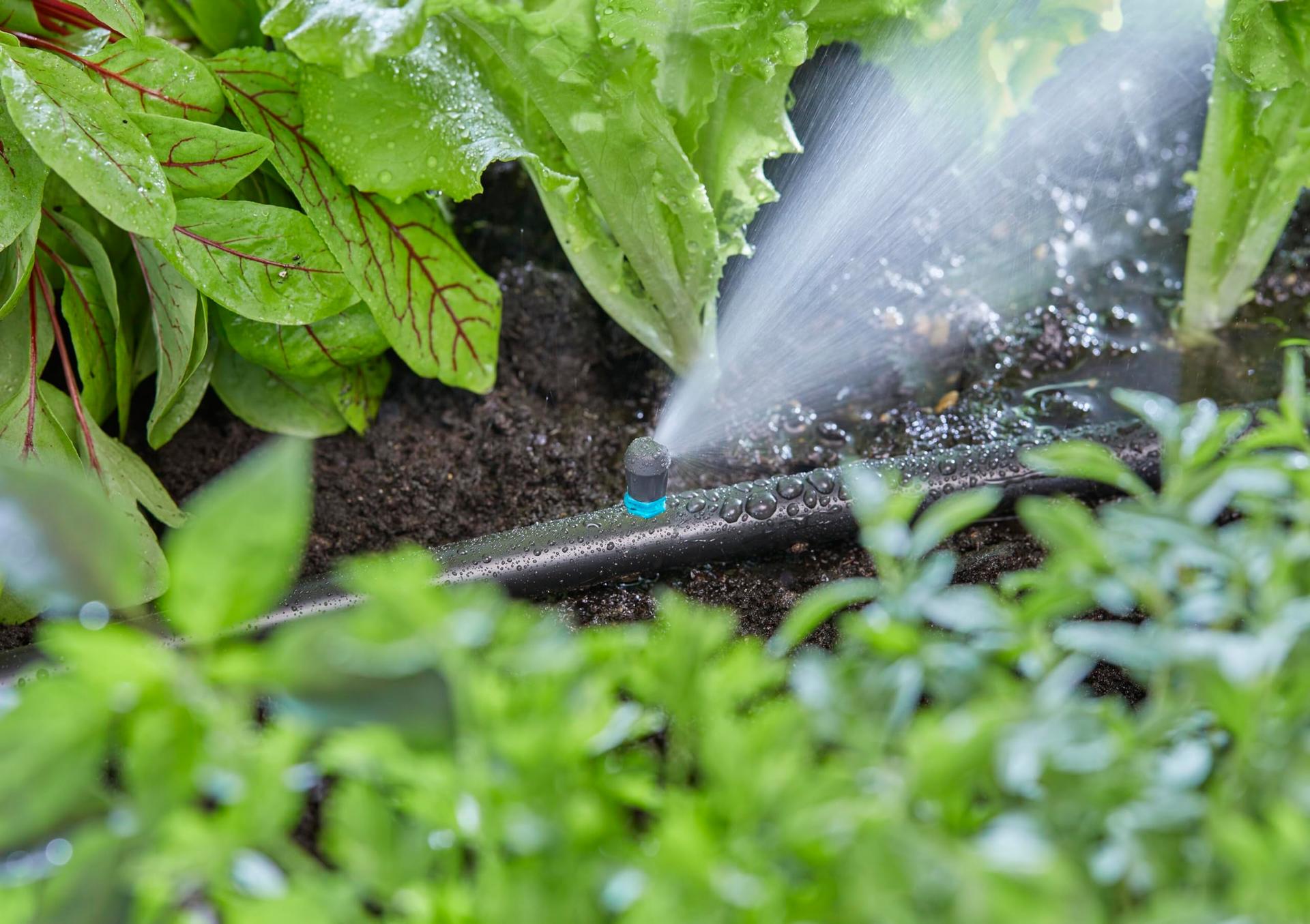 Gardena Micro-Drip otsapihusti kitsastele aladele kuni 0,6 × 2,75 m (13318-20) – pilt 7
