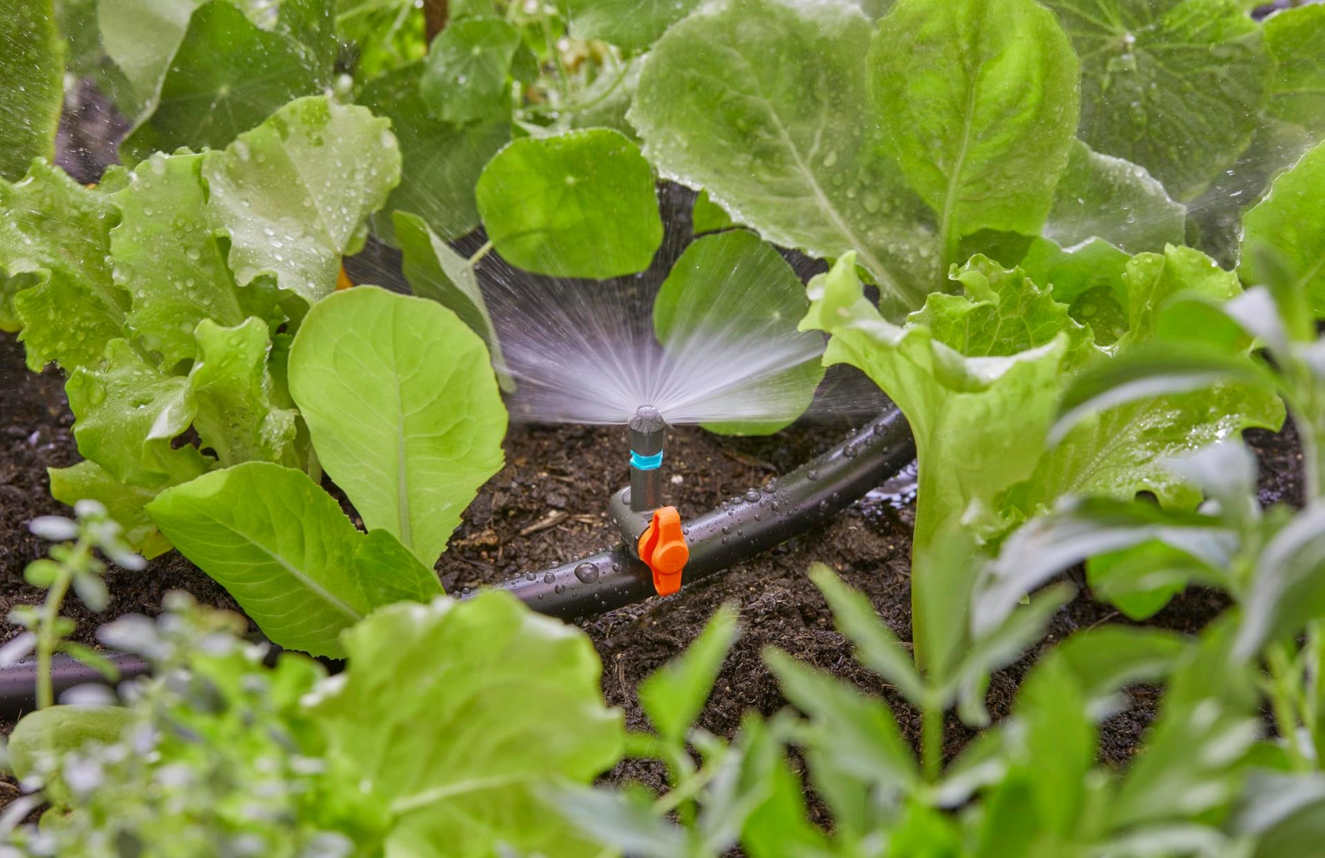 Gardena Micro-Drip-System reguleerventiil pihustitele, 5 tk (13231-20) – pakend ja tarvikud