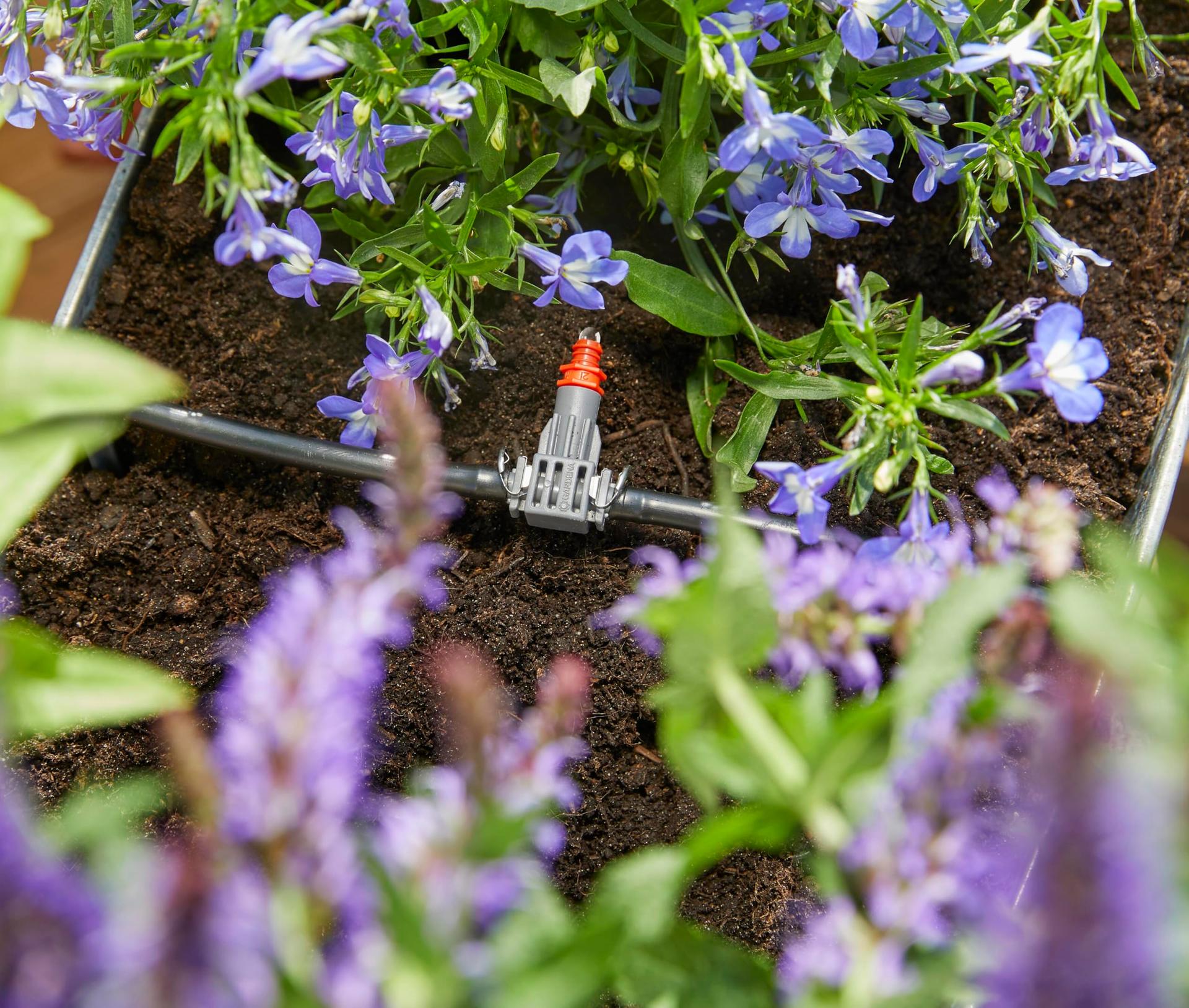 Gardena täisautomaatne rõdukastide kastmiskomplekt, kuni 6 m, 13 programmi (1407-20) – kasutusnäide