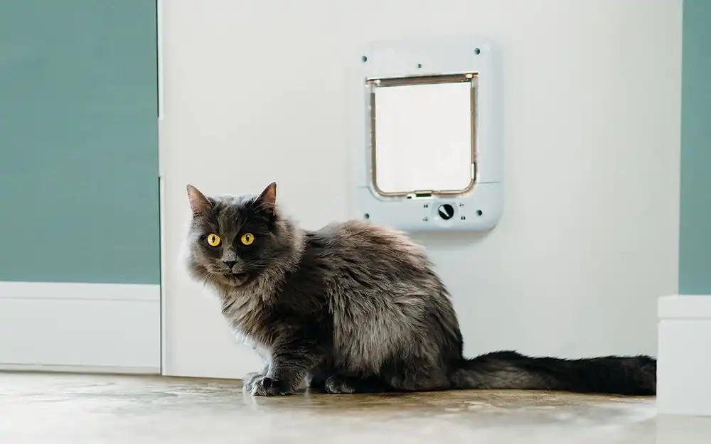 Cat Mate mikrokiibiga kassiluuk, 4-suunaline lukustus, valge, pilt 2