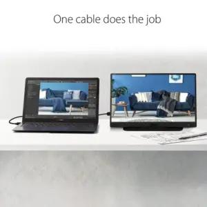 ASUS ZenScreen MB166C 15