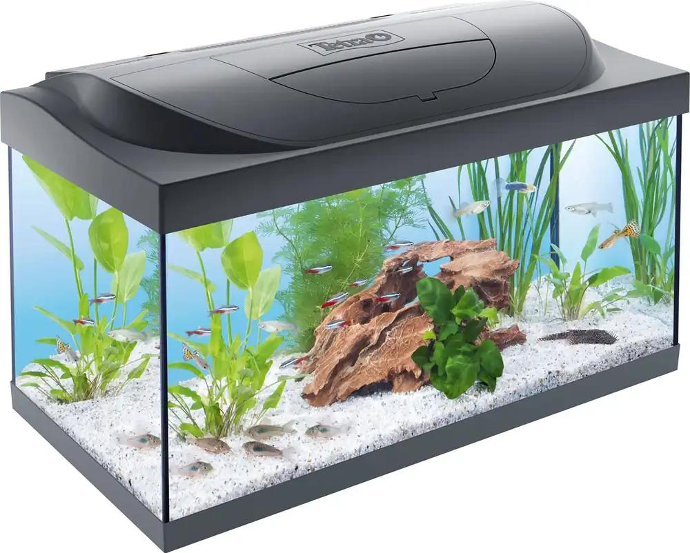 Tetra Starter Line 54 L Akvaariumi Komplekt – LED päev & öö valgustus, sisefilter, soojendi, kalatoit ja veekonditsioneer