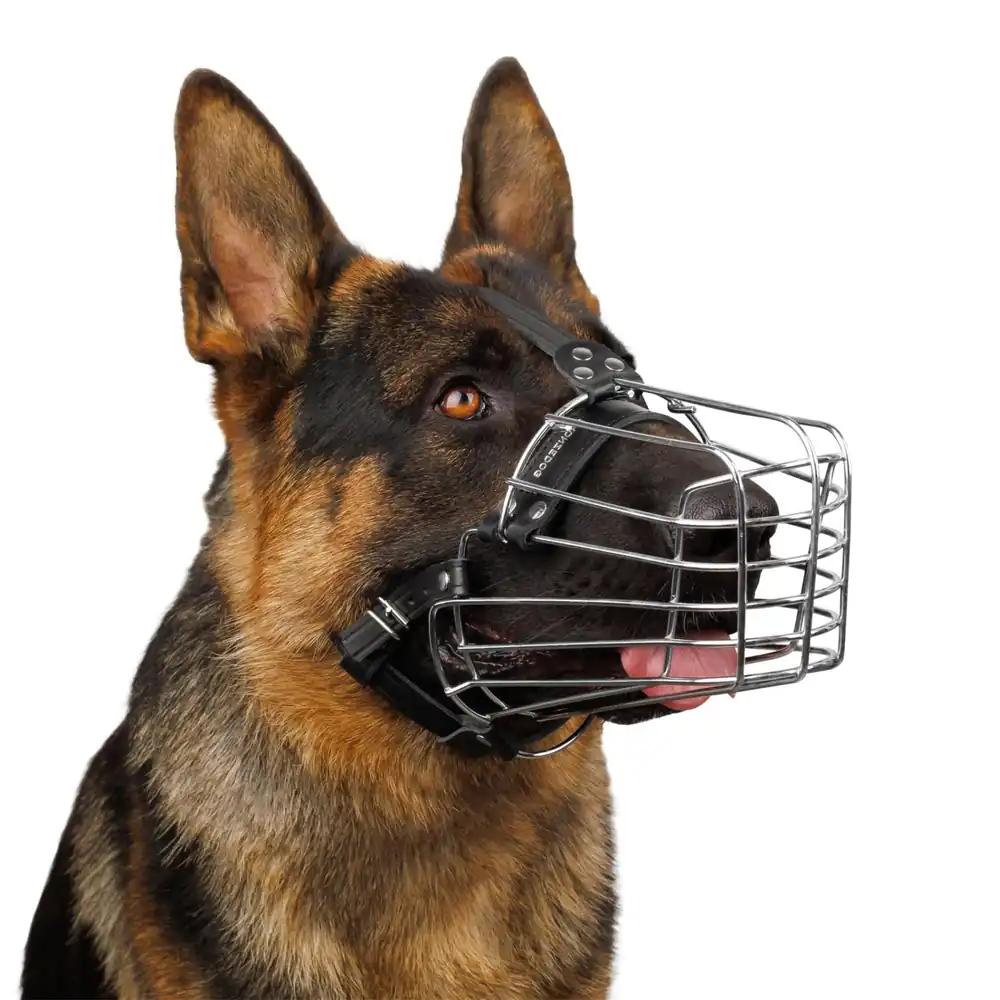 BRONZEDOG Traathundusuuemusel Saksa lambakoerale – vastupidav ja reguleeritav metallist koon suurematele koertele (L)