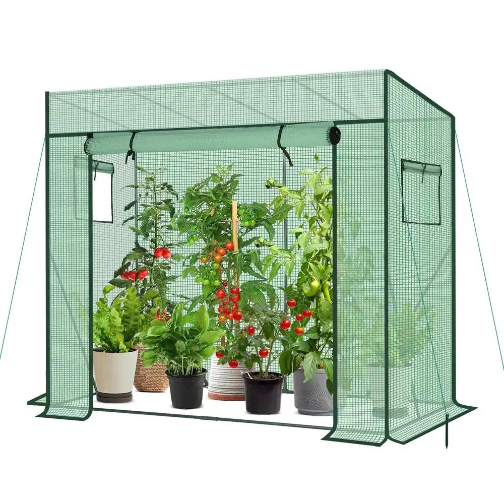 Sekey kasvuhoone, väikene kilekasvuhoone 200x170x77 cm – stabiilne, talvekindel, õhku läbilaskev, roheline