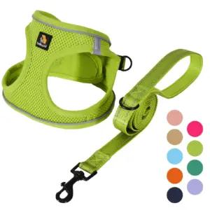 BELLA & PAL H004 lemmikloomad – toote esivaade – ripats charm