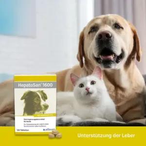 Alfavet 332 toidulisandid ja vitamiinid – detailne lähivaade