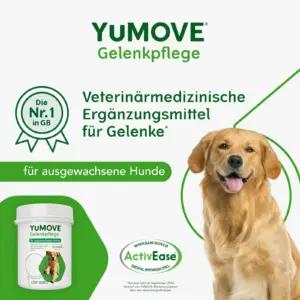 YuMOVE YM300 liigeste ja luude kaitse – detailne lähivaade