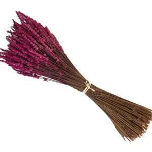 Lavanda Experience lilled – toote esivaade